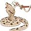 King Cobra