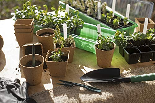 Meister Anzuchttöpfe 8 x 8 cm - Praktisches Set mit 48 Stück - 100% torffrei aus PEFC-zertifizierter Zellulose - Biologisch abbaubar / Pflanztopf / Saattopf / Pflanzenanzucht / 9968280