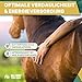 ALL-WIN Horse Meal Deal 15 kg | Haferfreies Pferdemüsli mit Apfel für hohe Schmackhaftigkeit | Reich an Vitamin E & Biotin | Ergänzungsfutter für Vitalität & Glanz