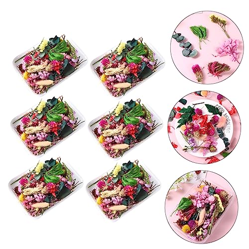Flores secas Alipis para manualidades en paquete miniatura 2