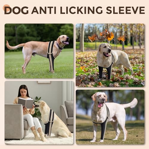 Dog Recovery Sleeve Front Leg Prevent Dog from Licking Wound, Dog Leg Sleeve is Made of Yoga Fabric, Dog Dleeve to Prevent Licking is Breathable, Suitable for Summer, Cone Collar Alternative M Dog Recovery Sleeve Front Leg Prevent Dog from Licking Wound, Dog Leg Sleeve is Made of Yoga Fabric, Dog Dleeve to Prevent Licking is Breathable, Suitable for Summer, Cone Collar Alternative M
