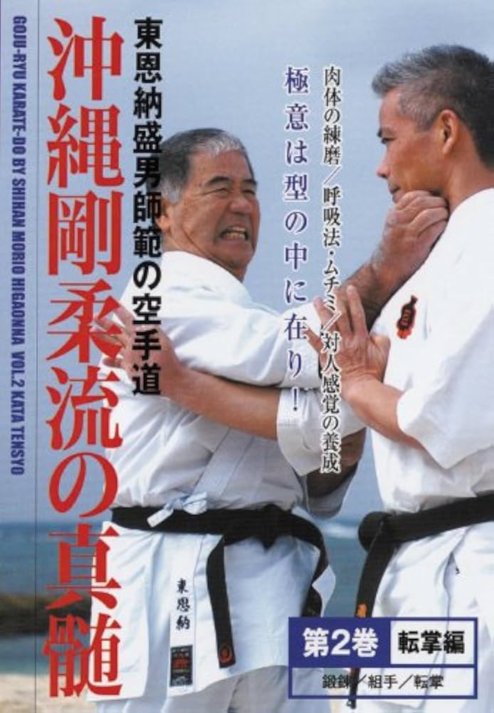 沖縄剛柔流空手道 全2巻揃い 東恩納盛男 沖縄剛柔流空手道 全2巻揃い 東恩納盛男 - メルカリ