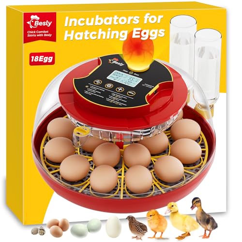 18 Egg Incubator with Automatic Egg Turning and Humidity Control, 360° Viewing, Dual Size Egg Trays for Chicken, Duck, Goose, Turkey, Quail, and Parrot Eggs, Ideal for Farm, Classroom, Home Use