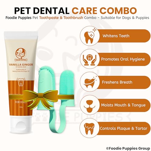 Image of Foodie Puppies Dental Care Combo for Dogs and Cats - (Couple Toothbrush and Vanilla Ginger Toothpaste, 100gm) Fresh Breath Formula I Soft Bristles for Easy Dental Care Toothbrush for Small Pets