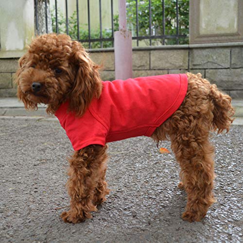 Lovelonglong 2019 Pet Clothing Dog Costumes Basic Blank T-Shirt Tee Shirts For Small Dogs Red M #TOP6