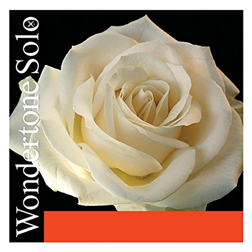 PIRASTRO Wondertone Solo 3106 Violin Strings E-Wire Silver Steel 4/4 Loop End