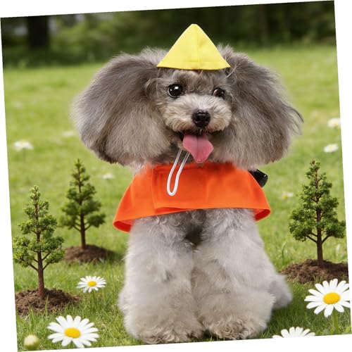 Disfraz para perro COLLBATH tamaño XL color naranja miniatura 4