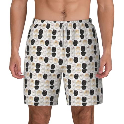 Short de bain de Poméranie pour homme idéal pour vos vacances