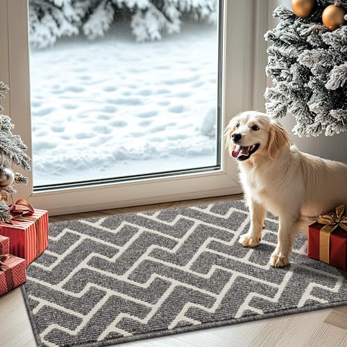 Biscpro Felpudo Entrada,50x80cm Alfombra Absorbente Entrada Impermeable y Lavable para Atrapar,Alfombrilla Antideslizante,Pasillo,Cocina,Dormitorio Felpudo de Entrada-Gris