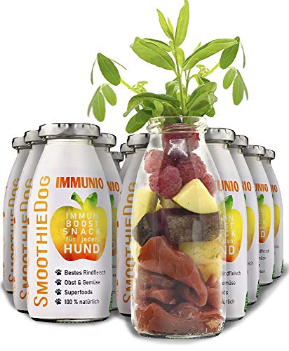 Hunde Smoothie SmoothieDog 12er Immunio (Rind) - Flüssiges Hundeleckerli - Zucker- & glutenfrei - je 250ml