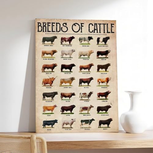 Deco salon et restaurant avec la toile murale vintage Breeds of Cattle 40x60