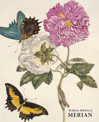 Maria Sibylla Merian: