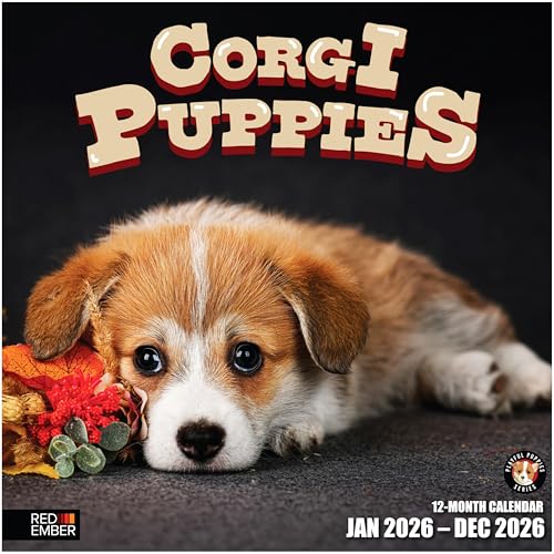 Image of RED EMBER Corgi Puppies 2026 Wall Calendar 12 Month | 12 inch x 24 inch Open | Thick & Sturdy Paper | Giftable | Cute Puppy Dog Calendar 2026