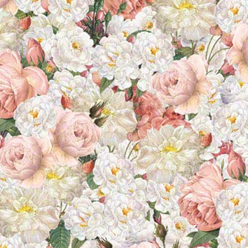 paper tassotti harmony