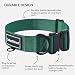 Robustes Hundehalsband für Große & Mittelgroße Hunde – Verstellbar, Doppellagiges Nylon, Metallschnalle, Reißfest & Ideal für Aktive Hunde (Grün, Klein (28-38 cm))