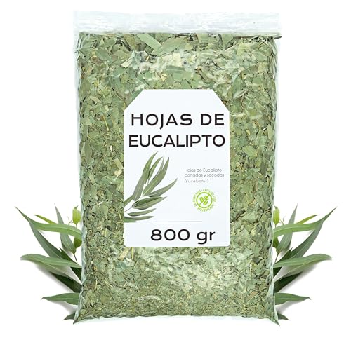Infusion Eucalipto 800g - Eucalipto Hojas - Hojas de Eucalipto Naturales - Infusiones a Granel - Rica en Minerales y Nutrientes - Propiedades Naturales (800 gr)