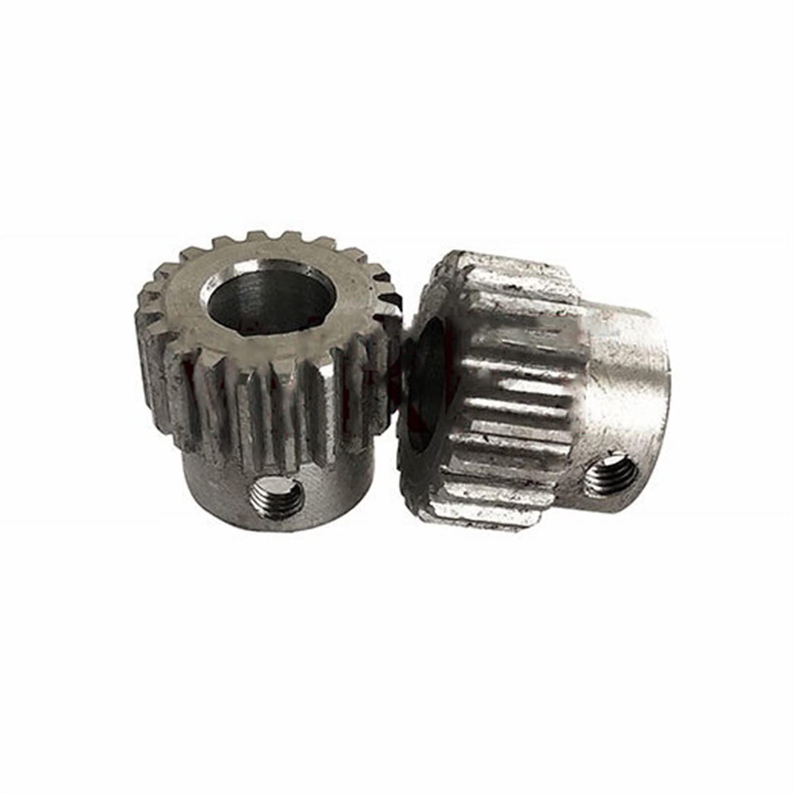 Pasalidognathus modestus　69mm 62mm Psalidognathus modestus Fries, 1833