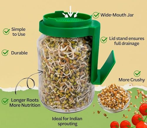 Image of Clazkit Sprouts Maker Jar - Durable & Reusable Sprouter for All Seeds and Beans, BPA-Free with 232-Hole Mesh Lid for Airflow, Odor-Free, Easy Drainage, and Hygienic - Green