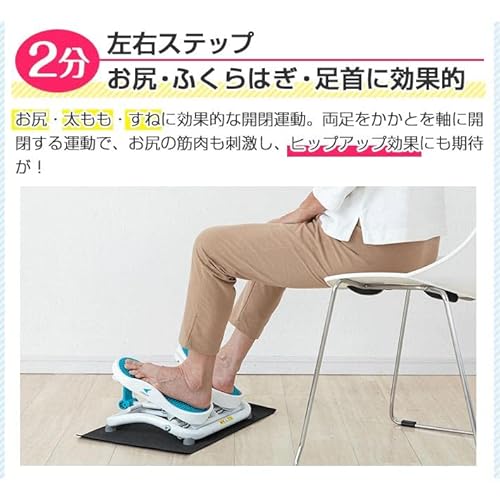 エアロライフ(AEROLIFE) ステッパー モーションナビ DR-3830 の商品画像 3