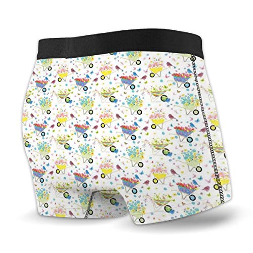 Men's Boxer Briefs,Rainbow Striped and Checkered Pattern Wheelbarrows Full of Wild Flowers and Birds,XL