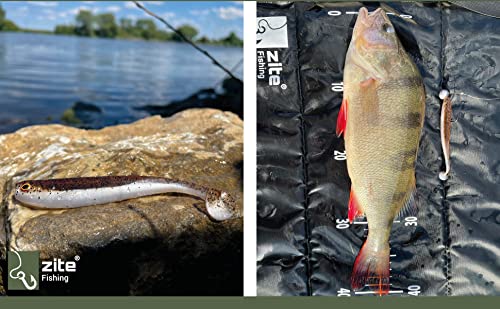 Zite Fishing set di esche in gomma per lucioperca