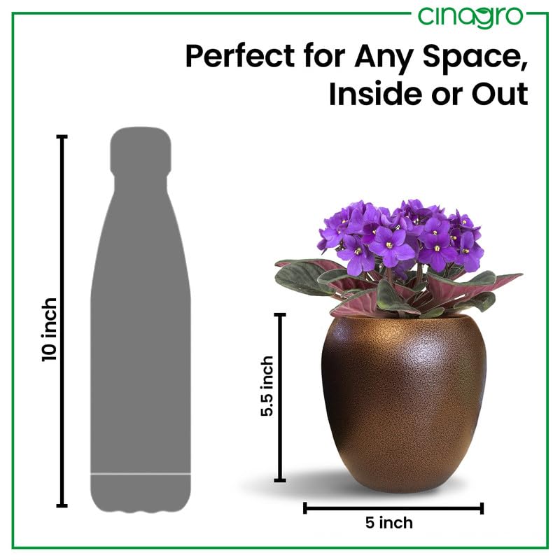 Image of CINAGRO Metal Planter Pot for Indoor Plants, Round Decorative Flower Pot, Rust-Resistant, Modern Plant Holder for Home, Balcony, Office (13.97 x 12.7 cm, Bronze Calm)