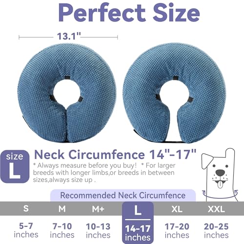 Loflaze Dogcone (Blau (L))
