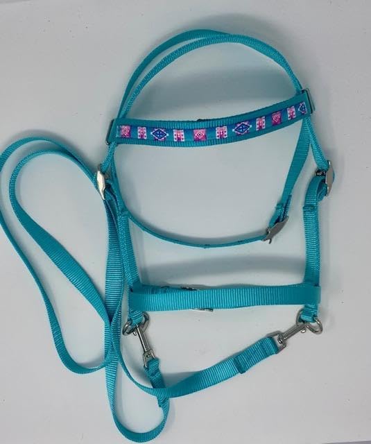 Miniature Horse/SM Pony Custom SW Overlay ON Turquoise BITLESS Nylon Bridle