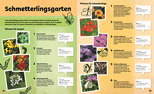 Auf ins Beet!: 30 wilde Gartenideen für Radieschenräuber und Bienenretter. Ein Bio-Gartenbuch für Kinder mit einem Vorwort von Ackerhelden machen Schule - 8