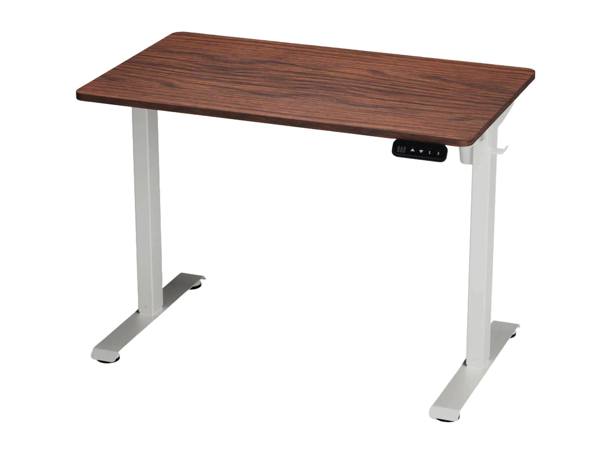 ergonomist Electric Standing Desk, Height Adjustable, Sit Stand, 100x60 CM