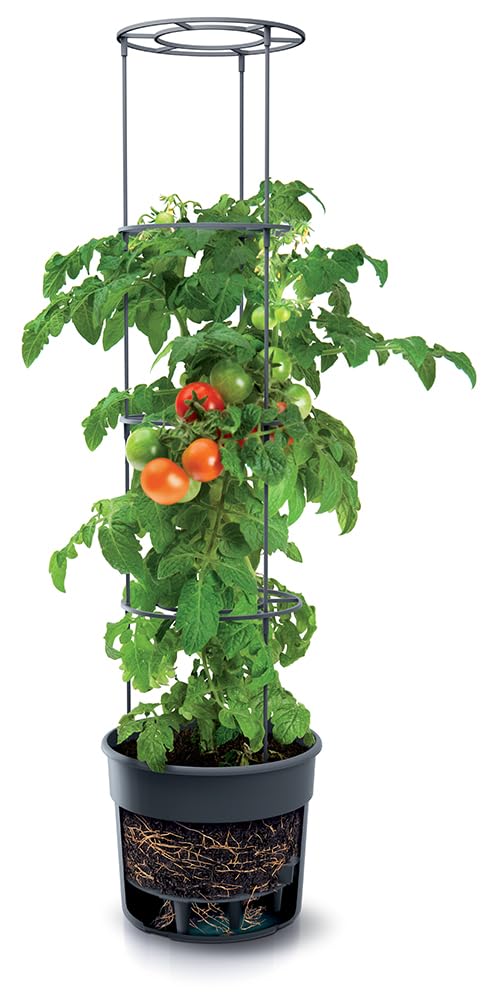 Tymar Doniczka na pomidory, donica na pomidory, balkon, z kratką dla roślin pnących, ze zbiornikiem wody (5 sztuk, ø 35 cm)