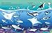 Usborne First Sticker Book Sharks and Rays.