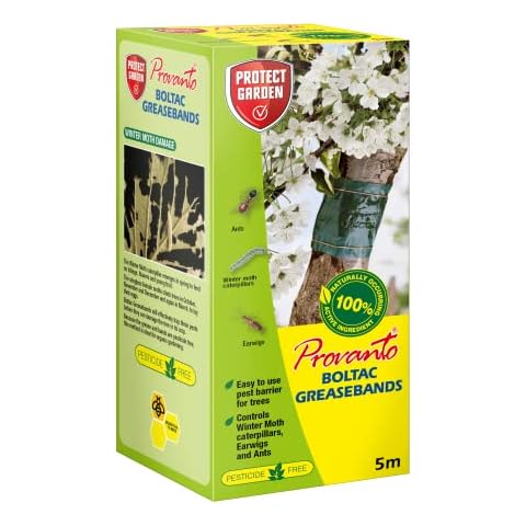 Provanto 86600937 Boltac Greaseband, 5m - Insect Control Tree Barrier - Pesticide-Free Winter Moth Control - Tree Protector - for Protection Against Caterpillars, Earwigs, Ants, & Other Pests Cover