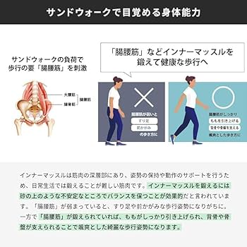 Amazon | サンドステッパー ステッパー 静音 踏み台昇降 ステップ台