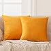 Deconovo Lot de 2 Housse de Coussin en Velours Taie d'oreiller Housse de Coussin 60x60 Halloween Jaune d'or