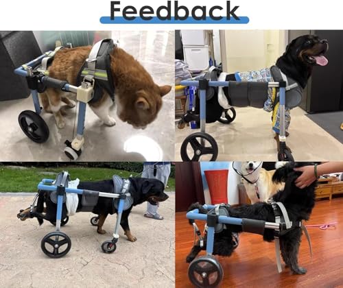 Silla de ruedas para perros: Solución ajustable para parálisis de mascotas 8