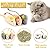 Cat Toys Cat Mouse Toys Catnip Mouse Toys Catnip Kitten Toys Cat Toys for Indoor Cats Adult Simulation Catnip Soft Toy for Cat Playing Chewing Teeth Cleaning (6PCS)