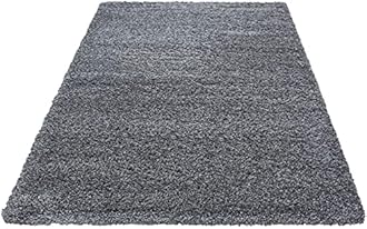 ARCHIT RUGS Plain Shaggy Rugs Living Room & Bedroom Soft Touch 5 CM Thick Pile Modern Bedroom Living Room Area Rugs Non Shed 4 x 4 Ft Size, Grey