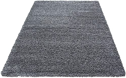 ARCHIT RUGS Plain Shaggy Rugs Living Room & Bedroom Soft Touch 5 CM Thick Pile Modern Bedroom Living Room Area Rugs Non Shed 4 x 4 Ft Size, Grey