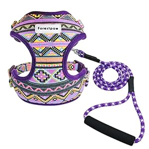Forestpaw Adjustable Puppy Harness,Multi-Colored Stylish Dog Walking Vest Harness and Leash Set- Soft Mesh Padded No Pull Dog Harness for Small Dogs,Purple,Fits Chest 11-14″