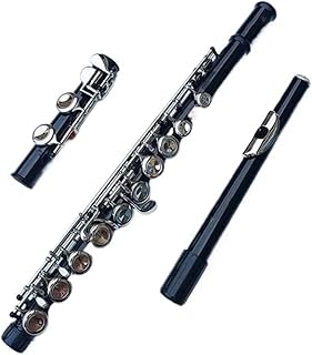 flauta de instrumento musical Flauta negra de 16 agujeros instrumento de viento de madera llave cerrada añade la tecla E tono C flauta de concierto niquelada con estuche para música