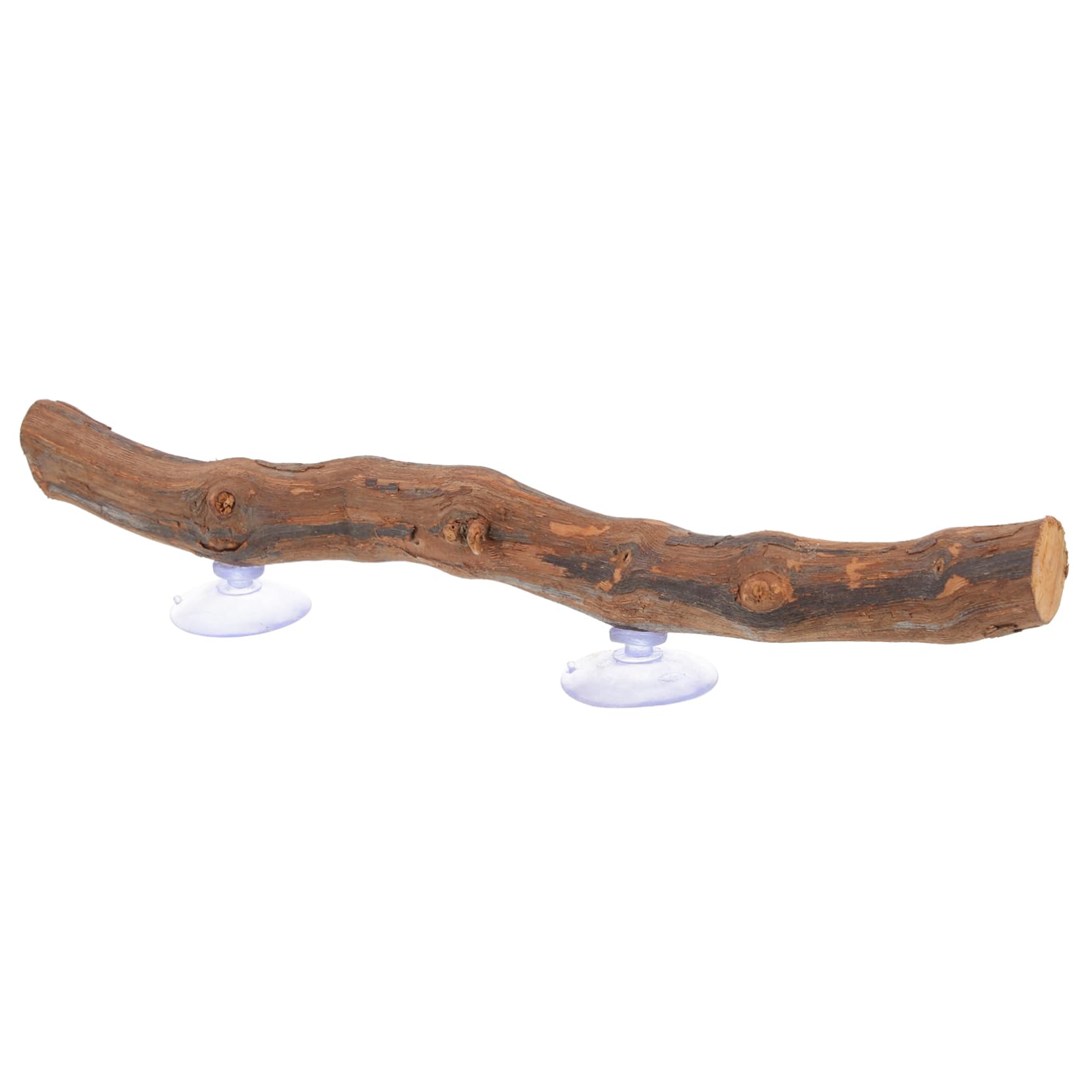 3 Pz Supporto in Legno D'uva Camaleonte Accessori Per Rettili Giocattoli Accessori Camaleontici Rami Per Lucertole Viti Ramo Di Geco Crestato Coniglio Anfibio Kit Di Legno