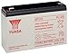 Produktbild Yuasa NP12-6 Blei-Akku 6V (Faston 250-6,3mm)