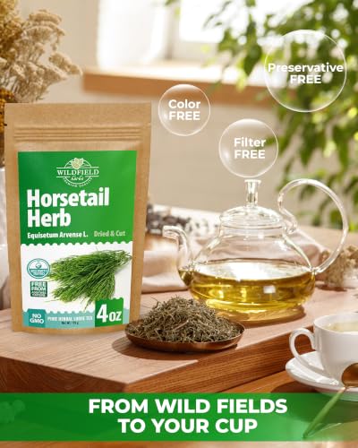 Image of 4 oz. Horsetail Herb Horsetail Tea Cola De Caballo Hierba Horse Tail (Equisetum Arvense) - 113g Herb Tea Horse Tail