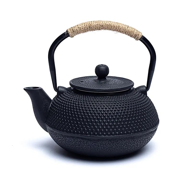 Teiera Tetsubin Stile Giapponese Ghisa 0,6 L + 2 Tazze Piastra Tè Tisane Tea Thè