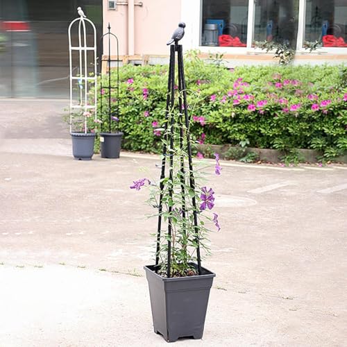 Treillis de jardin pour plantes, support stable et portable - 3