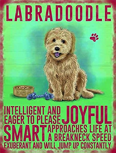 The Original Metal Signs Labradoodle Perro Placa metálica para la Pared Decor con Texto en inglésu00a0u0096u00a0Alegre, Inteligente, se Salta hasta constantemente.