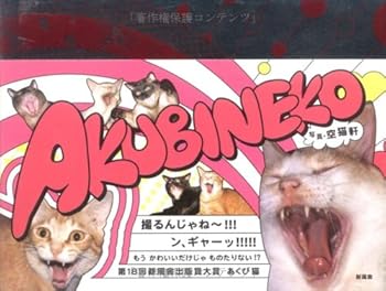 Tankobon Hardcover ???? AKUBINEKO [Japanese] Book