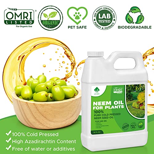 Neem Oil - Neem Oil Spray For Plants - 16 Oz - 100% Pure Cold Pressed Neem Oil For Plants Concentrate - Horticultural Spray For Indoor And Outdoor Plants, Leaf, Garden, Vegetable, Fruit Trees #TOP2