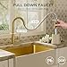 FORIOUS Vintage Kitchen Faucets with Pull Down Sprayer, Gold High Arc Single Handle Stainless Steel Antique Pull Out Sink Faucet for Farmhouse Camper Rv Bar, Fit for 1 or 3 Hole